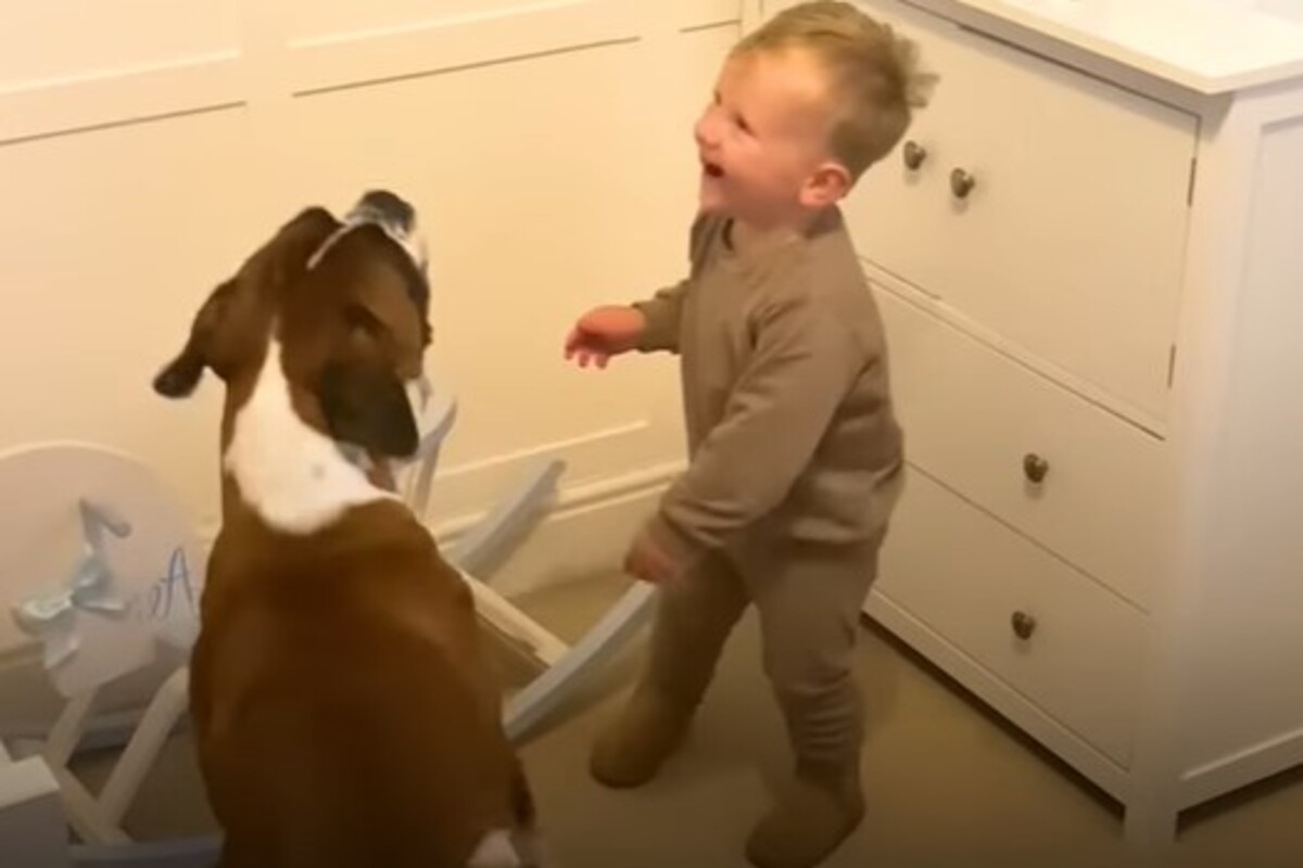 Cagnolone e il suo fratellino umano hanno un legame molto profondo e ...