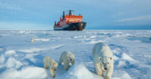 Raro avvistamento di un orso polare con i suoi cuccioli al Polo Nord. Le foto che raccontano la bellezza nel dramma