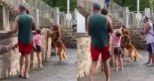Golden Retriever si emoziona come un bambino quando viene bagnato al parco divertimenti (VIDEO)