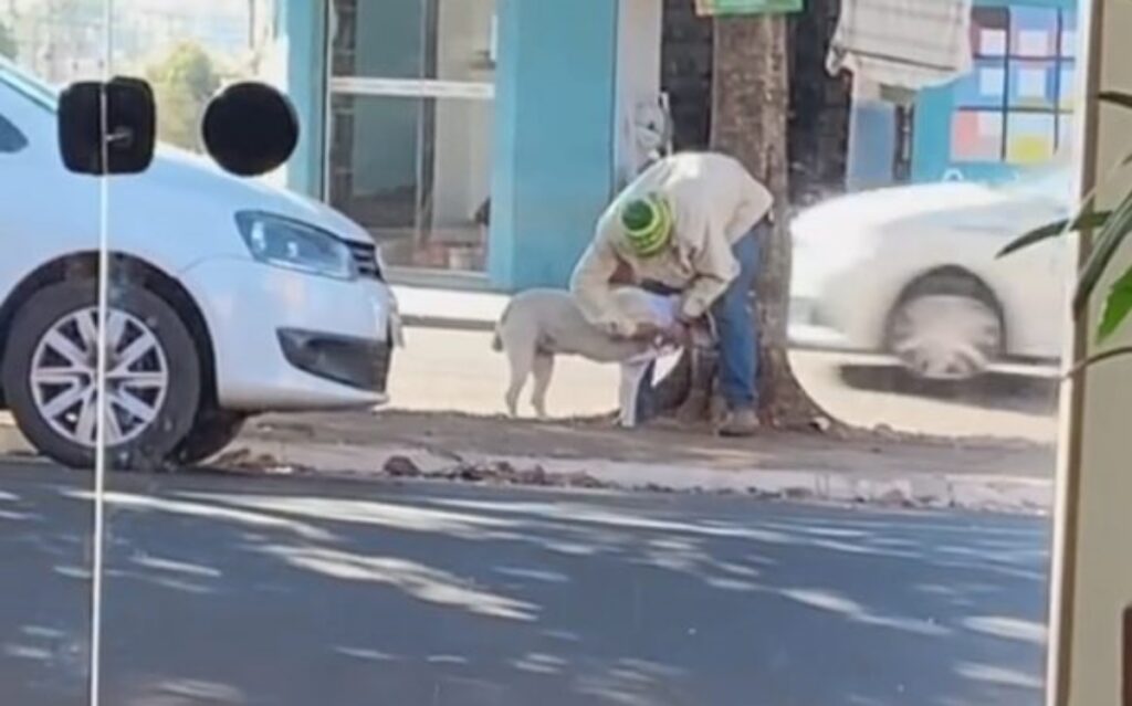 Senzatetto copre un cane con coperta