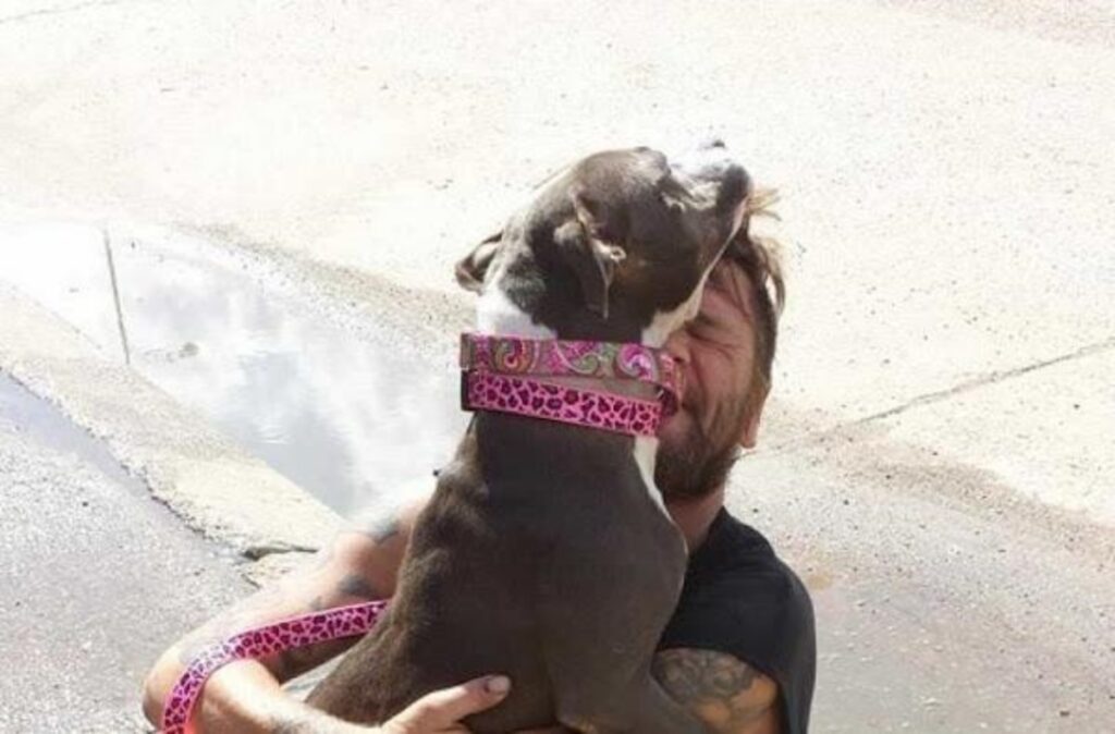 Un senzatetto rivede il cane Pitbull