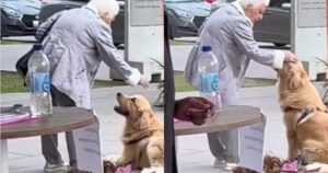 Golden Retriever viene sorpreso dalla sua proprietaria a fare un azione carina verso delle donne anziane (VIDEO)