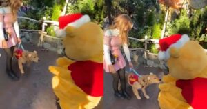 Golden Retriever impazzisce quando incontra il suo personaggio preferito (VIDEO)
