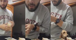Golden Retriever si comporta male mentre il suo proprietario registra come prepara la cena (VIDEO)