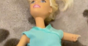 Dopo aver distrutto la Barbie della bambina, il cagnolino si pente. La sua espressione è irresistibile (VIDEO)