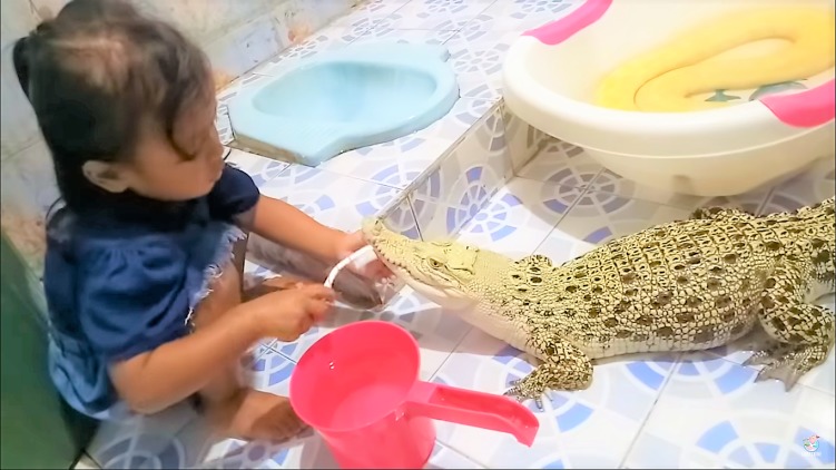 bambina gioca con coccodrillo
