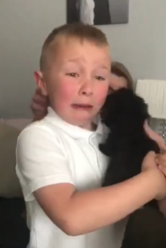 bambino scoppia a piangere quando vede cucciolo