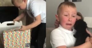 Bambino scoppia a piangere quando vede il cucciolo regalatogli dai genitori (VIDEO)