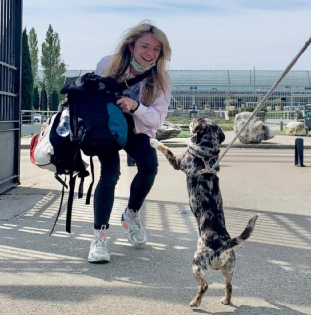 Cane rapito a Parigi ritrovato 800 km di distanza