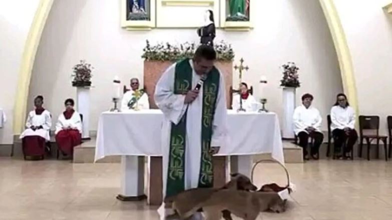 cagnolini chiesa