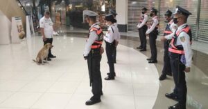 Cagnolino randagio che è diventato una guardia giurata dopo aver vagato dentro un centro commerciale
