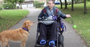Giovane paraplegico inizia una nuova vita grazie al suo Golden Retriever d’assistenza