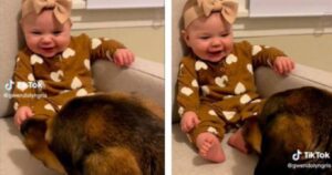 Cagnolino e sorellina umana hanno un’insolita amicizia(VIDEO)