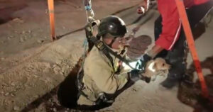 Cagnolino cade dentro un pozzo scoperto e profondo 30 metri, ecco come lo hanno salvato (VIDEO)