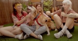 musicisti e cani collaborano per far adottare i cani dei rifugi