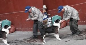 Cucciolo era abbandonato e assetato, un uomo anziano ha raccolto l’acqua con le mani per soccorrerlo (VIDEO)