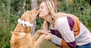 Golden Retriever incinta e la sua mamma umana organizza un’adorabile servizio fotografico