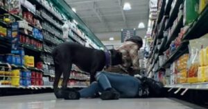 Cane di servizio salva la vita a una donna affetta da crisi improvvise in un supermercato (VIDEO)