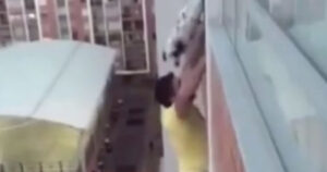 Cagnolino rimasto incastrato e sospeso nel vuoto: Un uomo si arrampica sul balcone  (VIDEO)