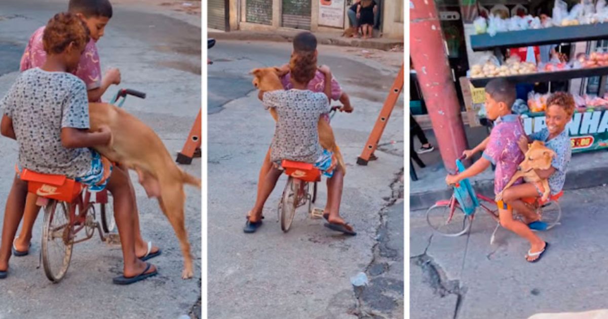 Ragazzini e cane sulla bici