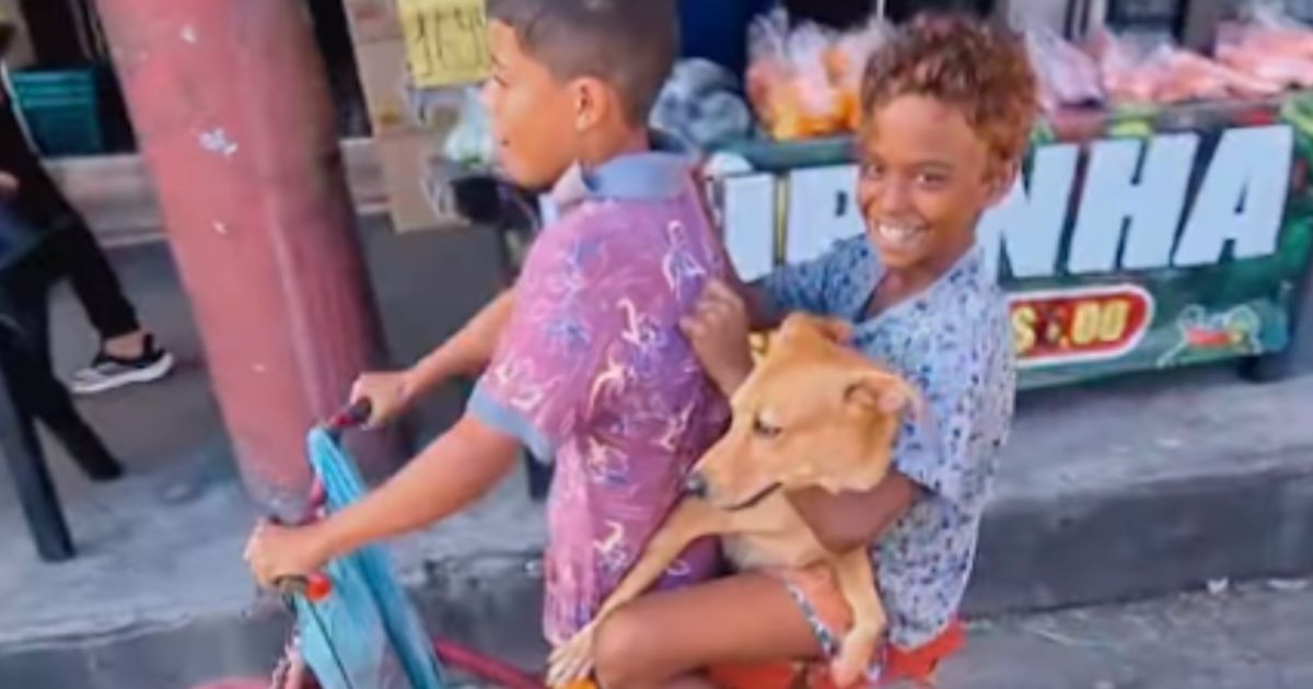 Ragazzini sulla bici con un cane