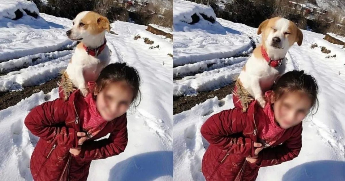 Bambina si porta il cane appresso sulle spalle