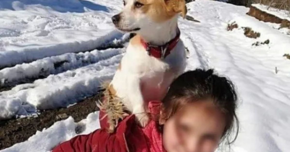 Bimba trasporta il suo cane sulle spalle