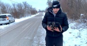 Cagnolina mamma coraggiosa chiede agli estranei di salvare i suoi cuccioli (VIDEO)