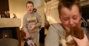 Bambino rivede gattino dopo 7 mesi di assenza. La sua reazione è impagabile (VIDEO)