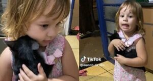 Bambina imita un’attrice per tenere con sé un gattino: il video è dolcissimo (VIDEO)