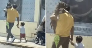 L’asfalto brucia troppo per il suo cagnolino così decide di portarlo in braccio come fosse un bambino (VIDEO)