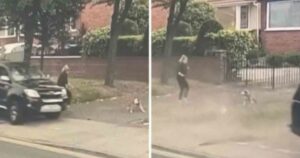 Cagnolina salva la sua padrona tirandola via mentre arriva un’auto senza controllo (VIDEO)