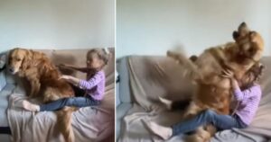 Una prova di fiducia davvero speciale tra il cagnolino e la sua piccola padrona (VIDEO)