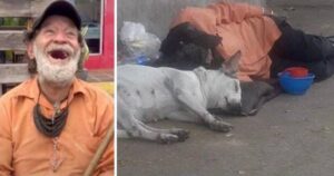 Un senzatetto e il suo cane sono inseparabili: l’uomo si sacrifica ogni giorno per il suo amico animale (VIDEO)