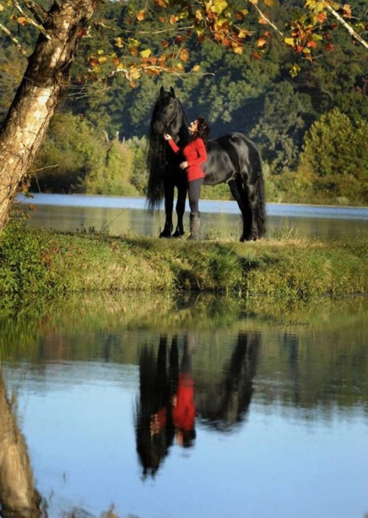 Federico Il Grande cavallo più bello del mondo