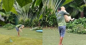 Una donna ha sorpreso il suo giardiniere a giocare con il Golden Retriever di casa: le reazioni del Web (VIDEO)
