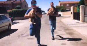 Eroe veterinario, si introduce in una casa per “rubare” due cuccioli che venivano maltrattati (VIDEO)