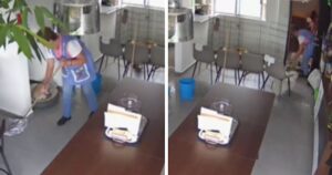 La colf viene ripresa dalla telecamera mentre pensa a mettere al riparo gli animali durante la scossa (VIDEO)