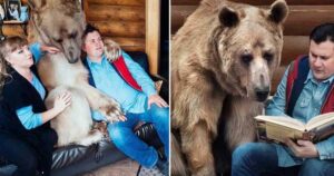 Orso abbandonato vive da 23 anni con una famiglia di umani: sa usare la toilette e aiuta con le pulizie domestiche