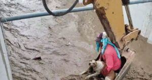 Un gruppo di operai unisce le forze per salvare la cagnolina nel canale (VIDEO)