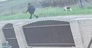 La telecamera riprende una famiglia che abbandona un cagnolino legato a un palo (VIDEO)
