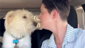 Una donna trova il “gemello” del suo cagnolino al rifugio e corre ad adottarlo (VIDEO)
