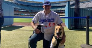 Cagnolino alla partita di baseball sorprende i fan catturando la palla del fuoricampo (VIDEO)