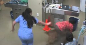 Cagnolino fifone fugge dal veterinario e la dottoressa fa lo stesso (VIDEO)