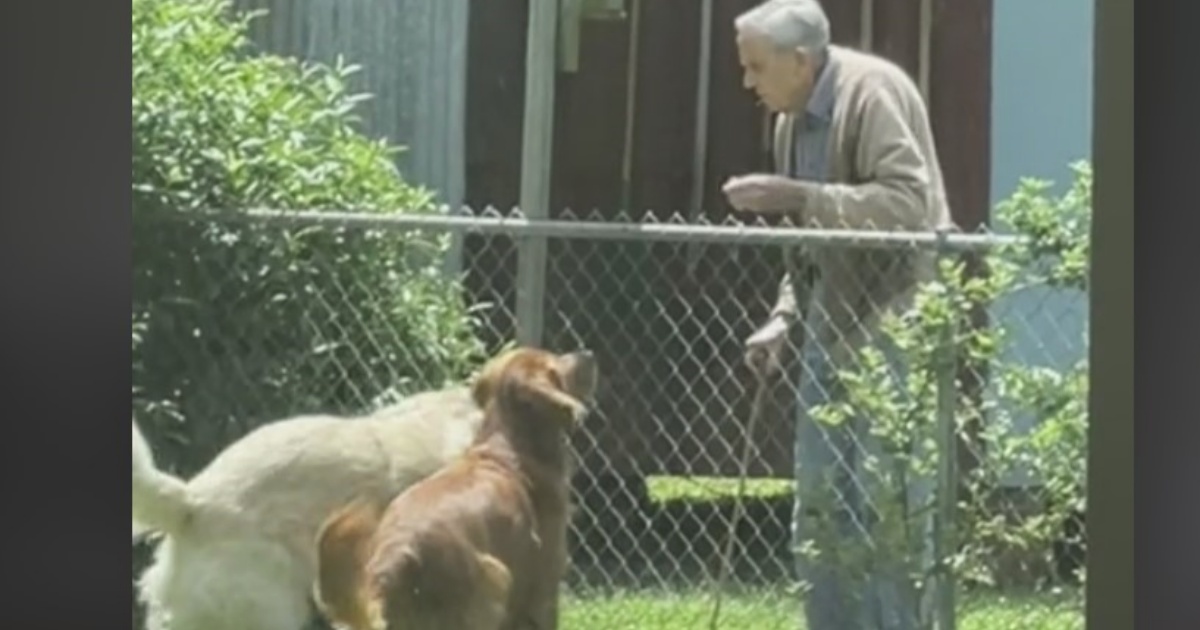 nonno e cani