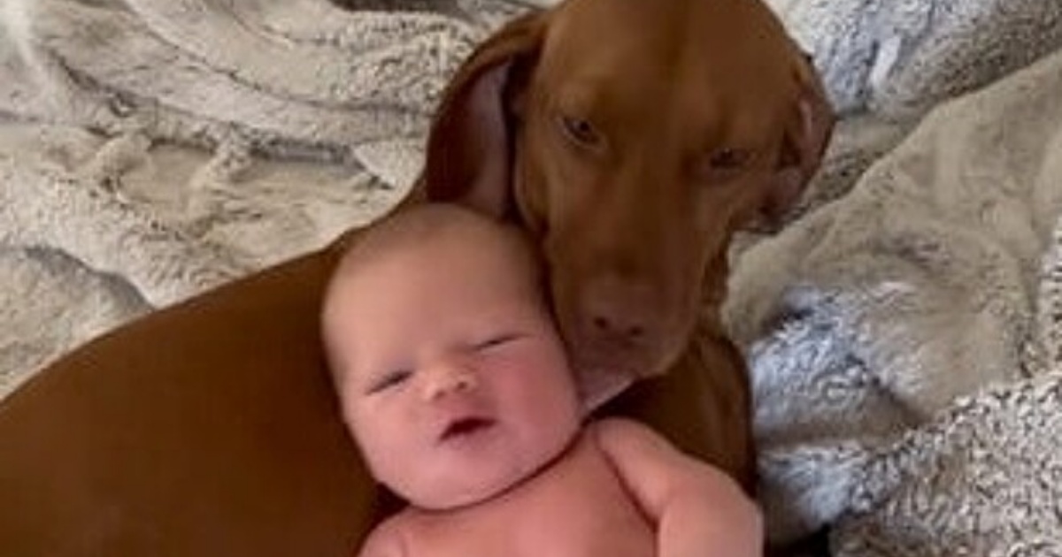 cagnolina e bambino