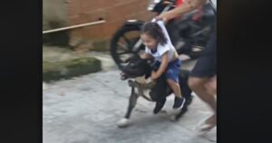 Cagnolina porta il suo fratellino umano all’asilo nido “a cavallo” (VIDEO)