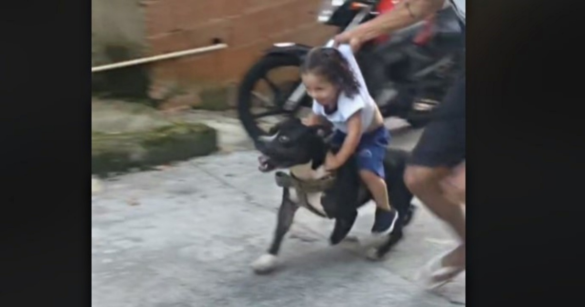 cagnolona e bambino