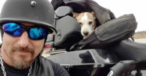 Motociclista nota un uomo che picchia un cucciolo e si ferma per dare una lezione di vita: il cucciolo diventa il suo copilota