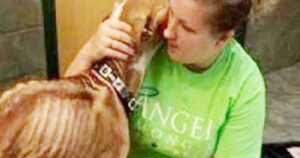 Cagnolino ridotto pelle e ossa non smette di ringraziare la sua soccorritrice: il video è commovente (VIDEO)